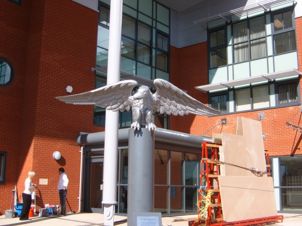 Langley Projects Ltd  Specials - Eagle Restoration Specials   photogtaphy Specials_Eagle1-640x480