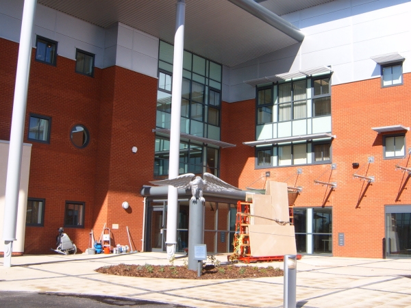 Langley Projects Ltd  Specials - Eagle Restoration Specials   photogtaphy Specials_Eagle2-640x480